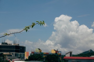 AF035DC7-2924-4CFD-8A3A-63C301F592C1/L0/001
