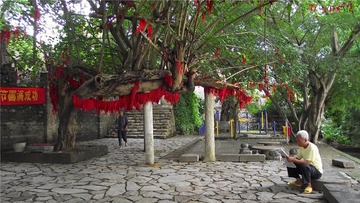 DSCF0038_