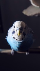 10301