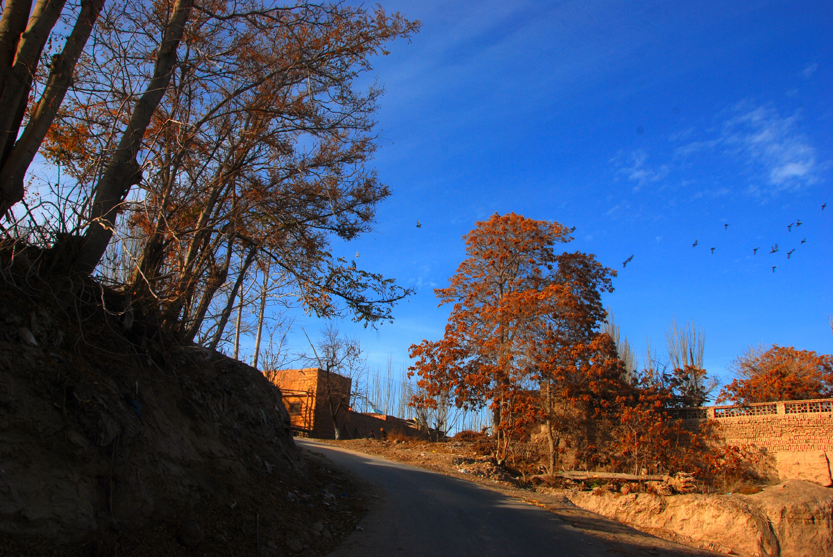 南疆英吉沙戈壁风景