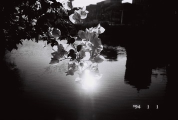 363467