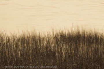 20110419-IMG_8716