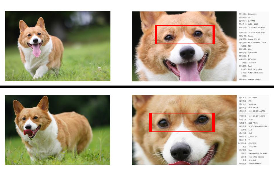 840114377.jpg