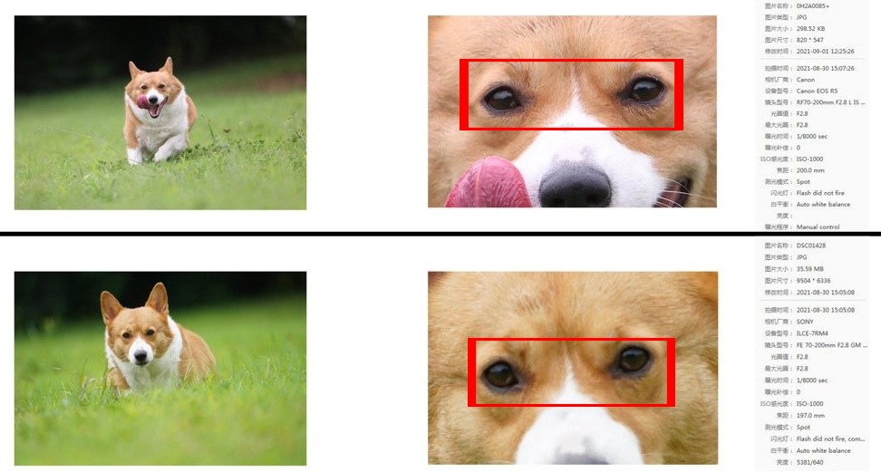 978985272.jpg