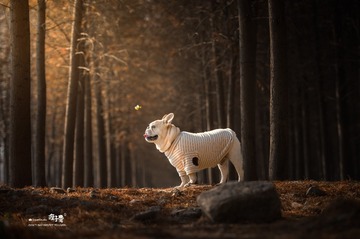 684894
