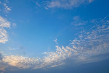 IMG_1664_1