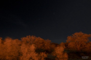 DSC_5281_4351-1.jpg