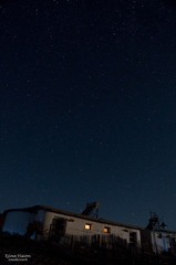 DSC_6570_3293.jpg
