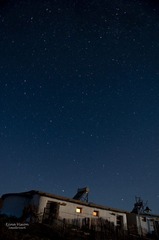 DSC_6572_3295.jpg