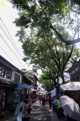 IMGP6801.jpg