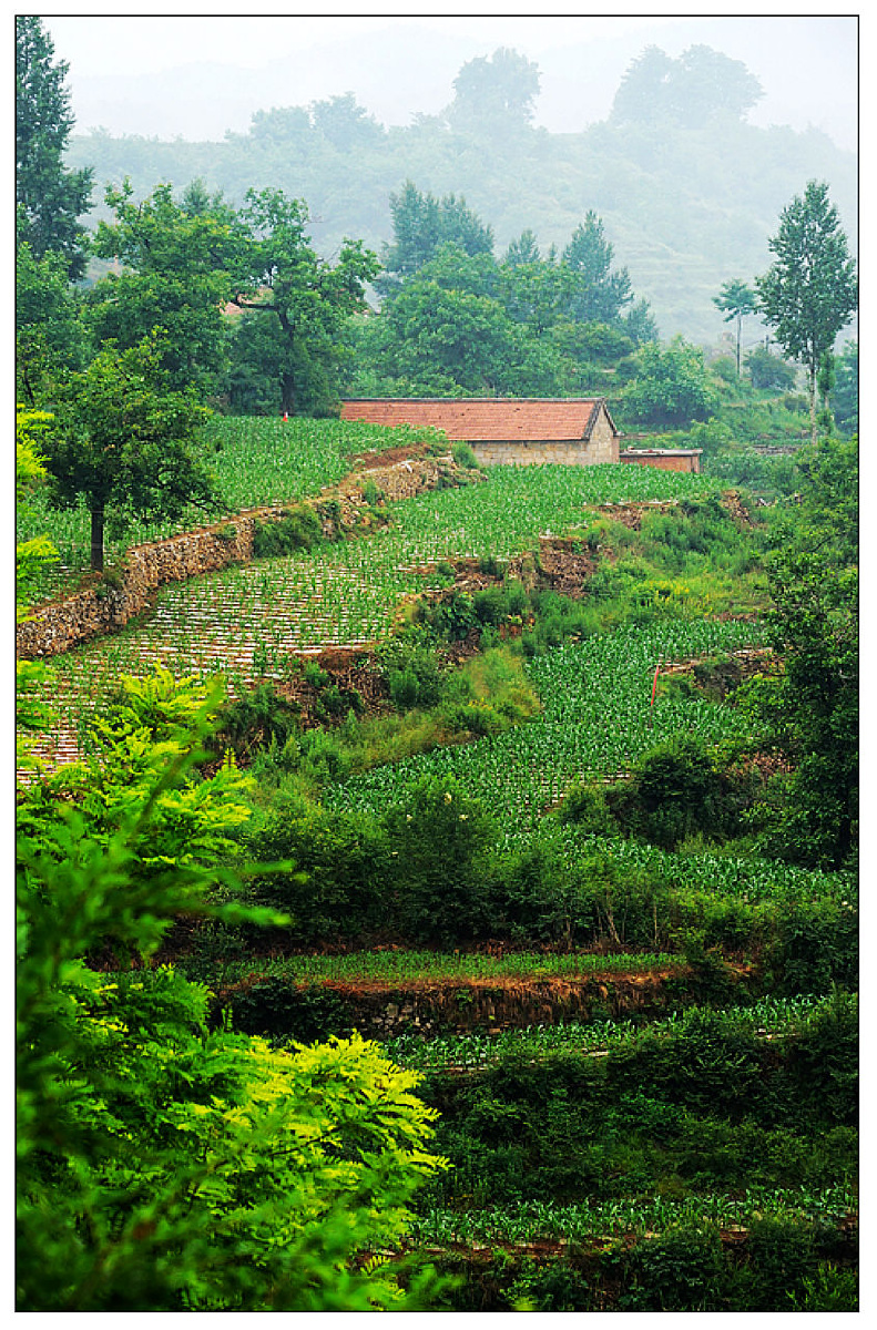 791_1200竖版 竖屏