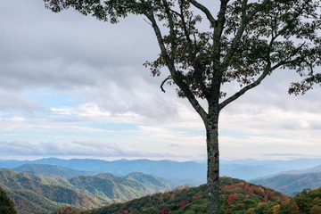 DSC_9809小