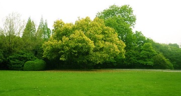 P1020940