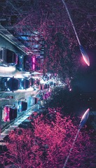 2529403