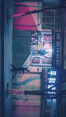 2529410
