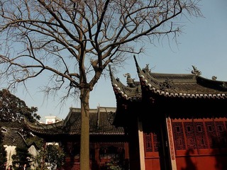 DSCF2483.jpg