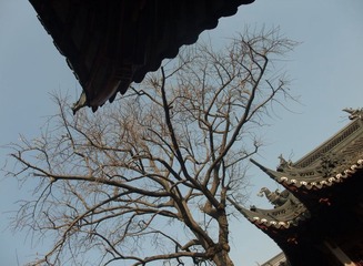 DSCF2484.jpg