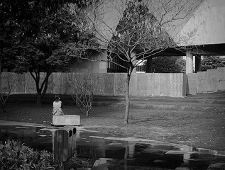 DSCF5340.jpg