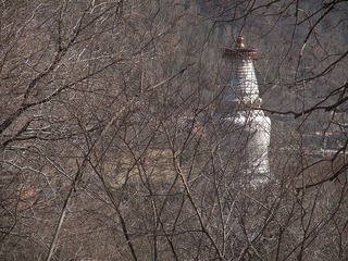 DSCF7538.jpg