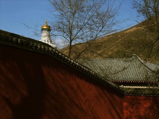 DSCF7552.jpg