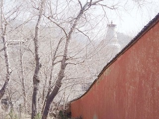 DSCF7561.jpg