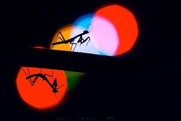 2013_05_17_78601”为智能对象-合大”为智能对象-2.jpg