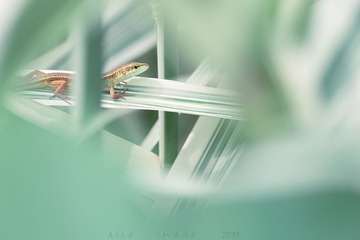 2013_05_20_79234”为智能对象-2.jpg