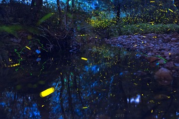 2013_07_13_085106”为智能对象-1.jpg
