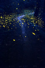 2013_07_12_085053”为智能对象-4.jpg