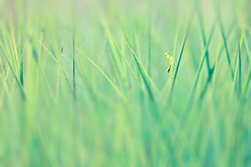 2013_07_01_083806”为智能对象-2