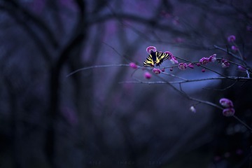 2014_03_02_006842”为智能对象-3