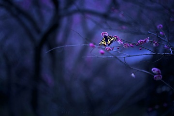 2014_03_02_006842”为智能对象-4