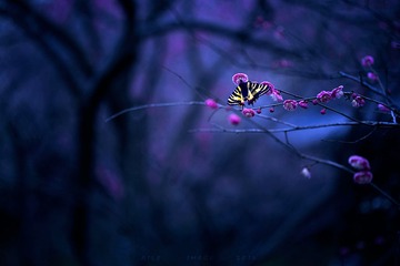 2014_03_02_006842”为智能对象-5