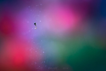 2014_04_12_010661”为智能对象-2