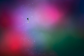 2014_04_12_010661”为智能对象-4