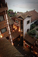 IMG_9455000lg
