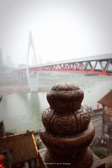 IMG_9458000lg