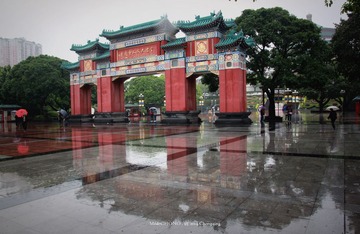 IMG_9574000lg