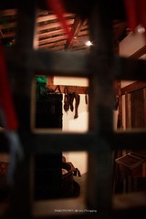 IMG_9608000lg
