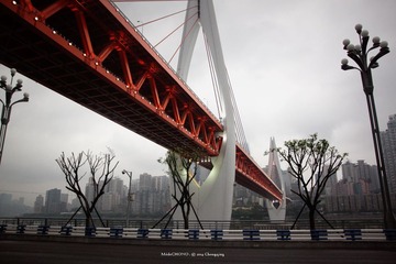 IMG_9712000lg