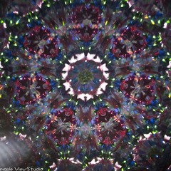 _LYX4634