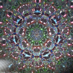 _LYX4645
