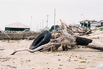FH000012.JPG