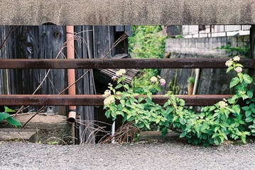 FH000025.JPG