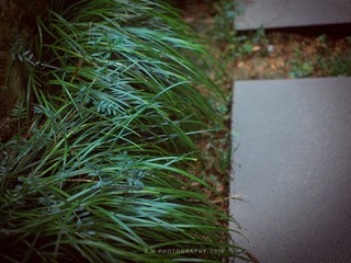 P4260705