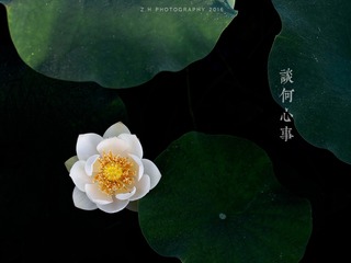 P6180731