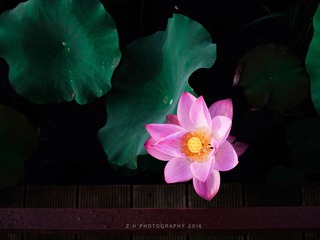 P6180739