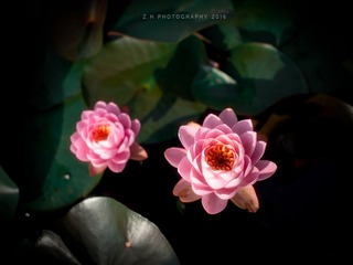 P6180792