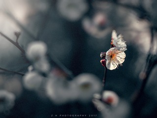 P2120253