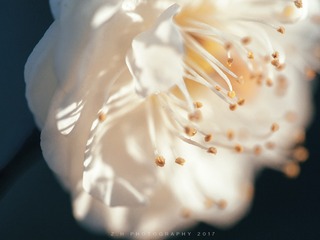 P2120271